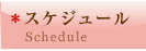 スケジュール